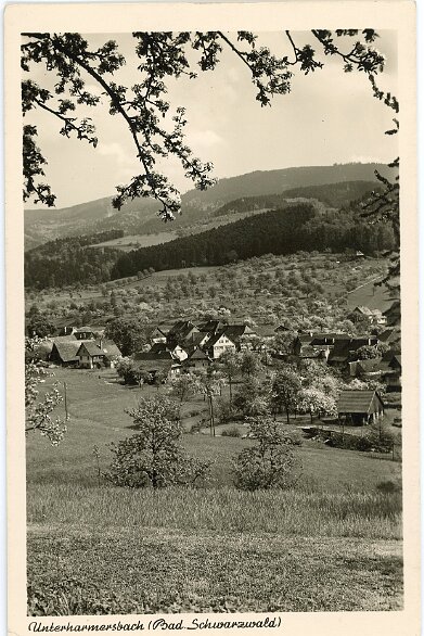 1900_Postkarten_VogtMühlstein_003 null