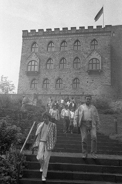 divers-01_img_020 null