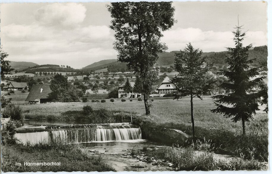 1900_Postkarten_VogtMühlstein_004