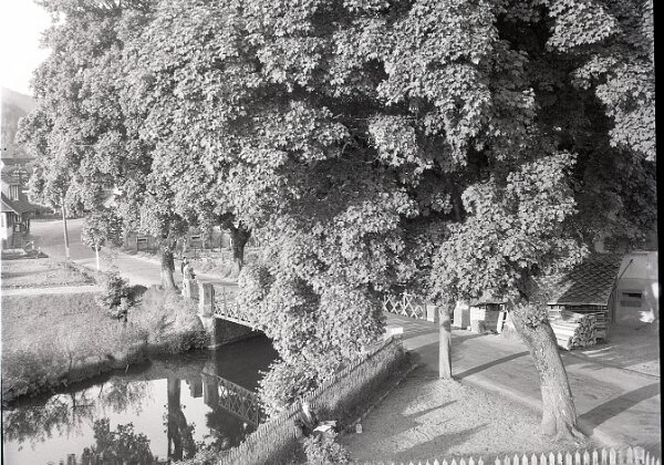 6x6 Negativtasche 01