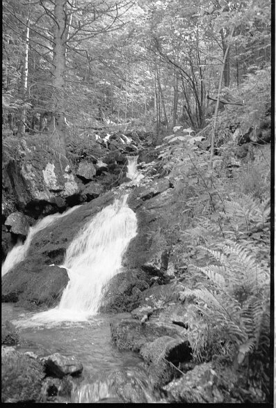 img20241230_09572130