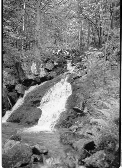 img20241230_09583472