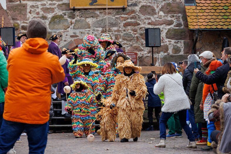 20260215-IMG_1197 null