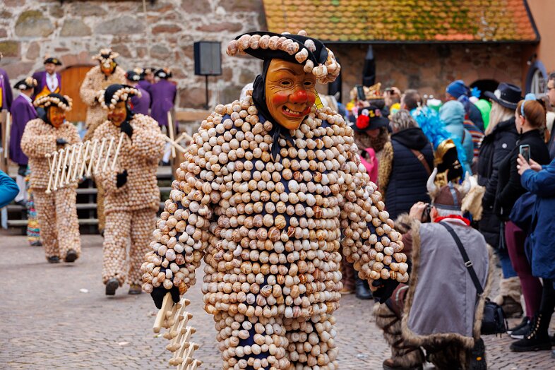 20260215-IMG_1228 null