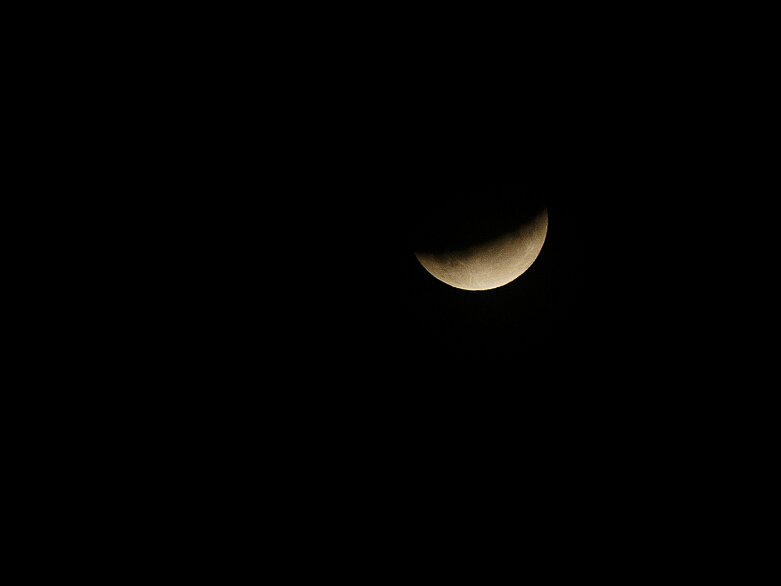 20190716-IMG_2037