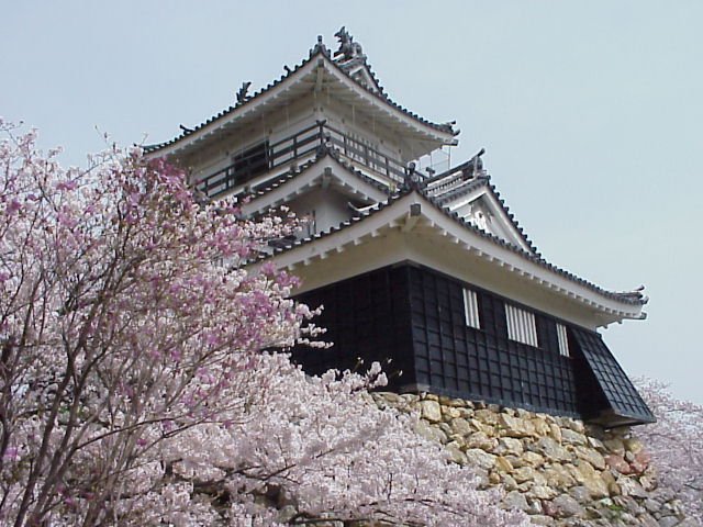 Hamamatzu Castle 2