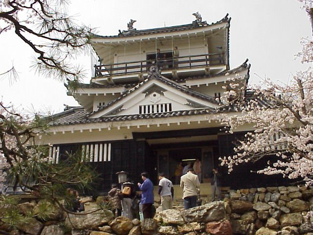 Hamamatzu Castle 3