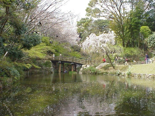 Hamamatzu Garden
