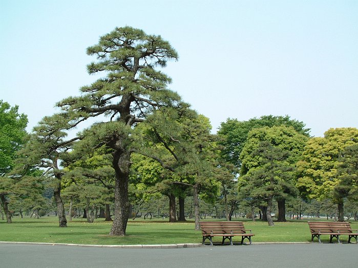 Imperial_Palace_02